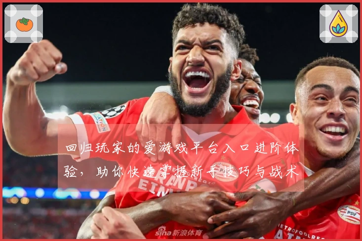 回归玩家的爱游戏平台入口进阶体验，助你快速掌握新手技巧与战术！