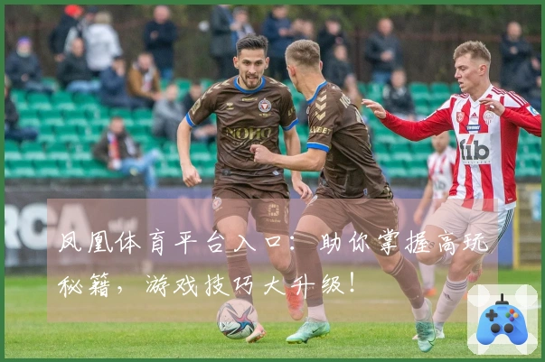 凤凰体育平台入口：助你掌握高玩秘籍，游戏技巧大升级！