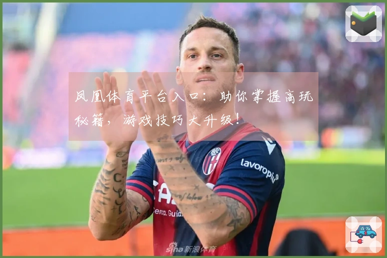 凤凰体育平台入口：助你掌握高玩秘籍，游戏技巧大升级！