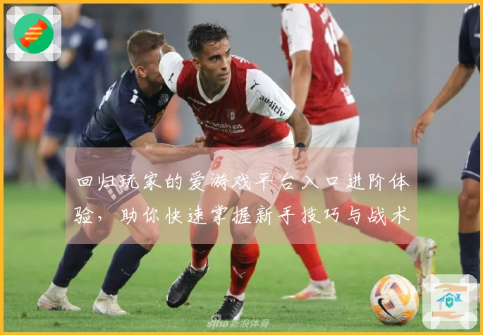 回归玩家的爱游戏平台入口进阶体验，助你快速掌握新手技巧与战术！